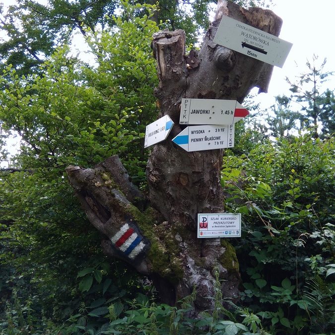 Zdjęcie przedstawia drzewo do której przyczepione są tabliczki oznaczjace szlaki wędrowne